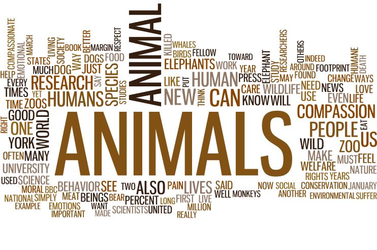 The Animal Manifesto: Six Reasons for Expanding Our Compassion Footprint by Marc Bekoff